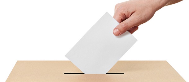 Someone casting their vote in a ballot box