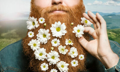 A man with a long red beard with daisies in it