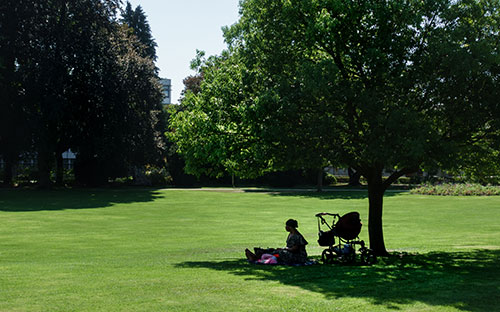 image shsoqing pwerson sitting under a tree in the shade