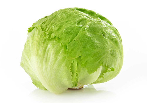 lettuce