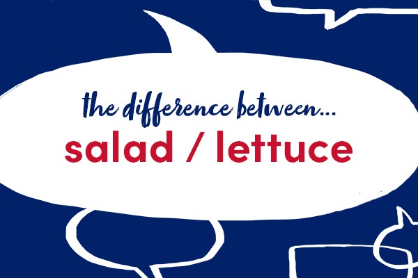 words salad lettuce