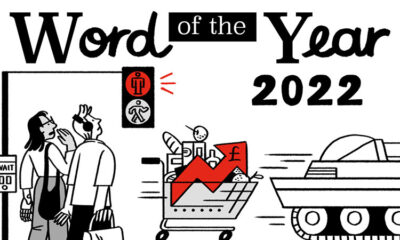 graphic showing collins word of the year