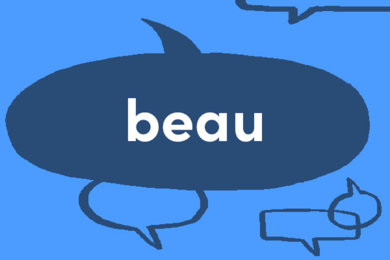 French word of the week beau Collins Dictionary Language Blog