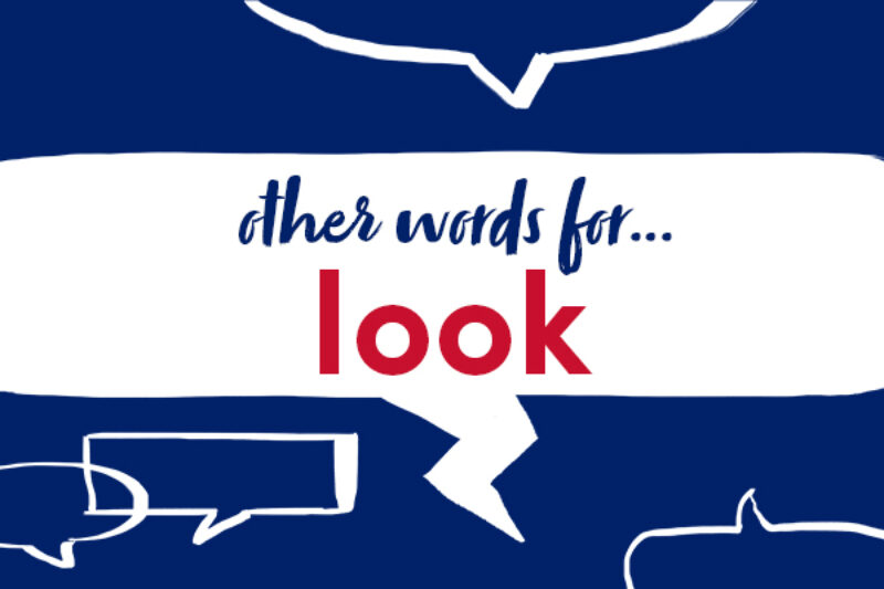 17 Other Words For look Collins Dictionary Language Blog