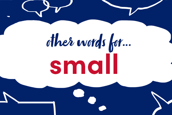 Other Words For Small Objects